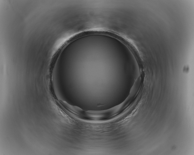 X0000090781319200707201516