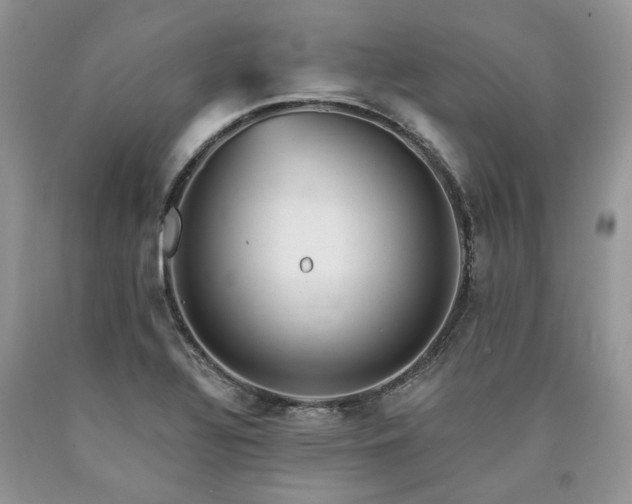 X0000090781320200707201516