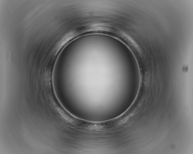 X0000090781321200707201516
