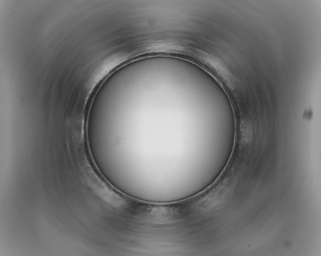 X0000090781322200707201516