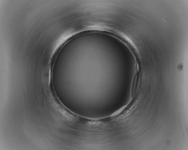 X0000090781323200707201516