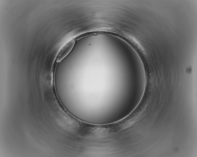 X0000090781324200707201516