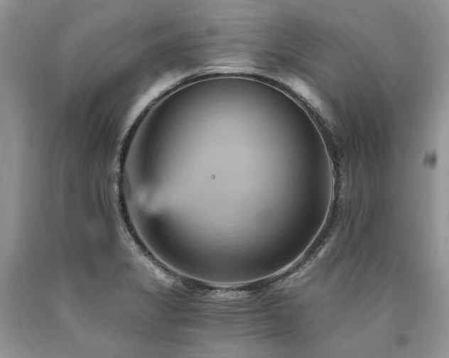 X0000090781325200707201516