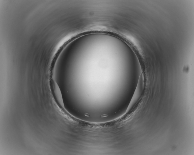X0000090781326200707201516