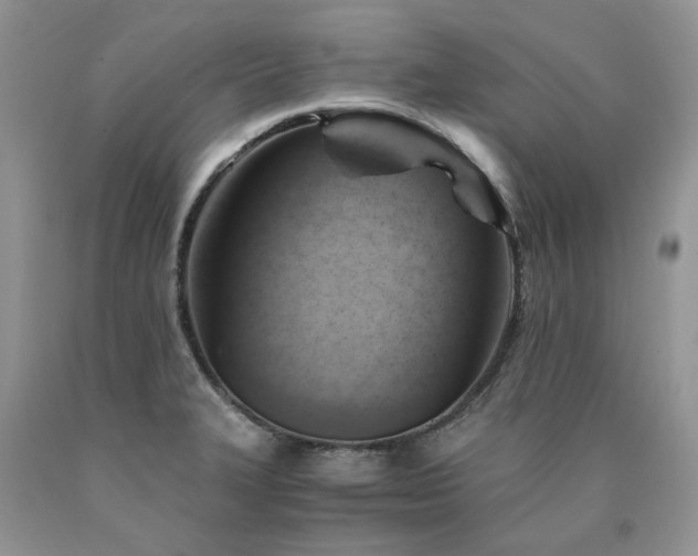 X0000090781327200707201516