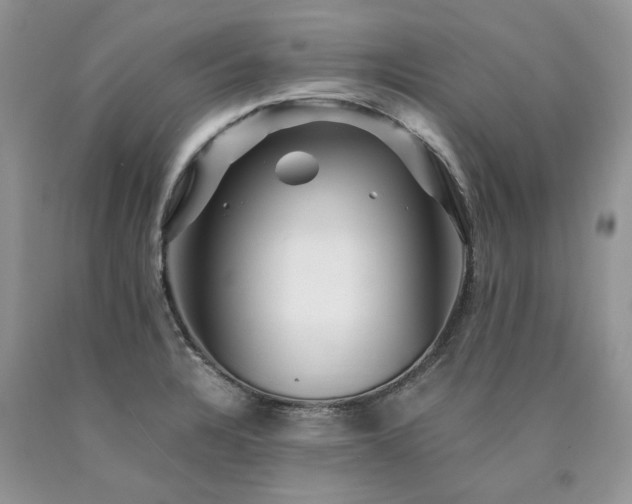 X0000090781328200707201516