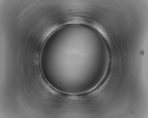 X0000090781329200707201516