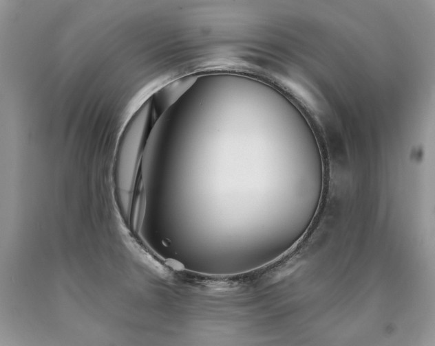 X0000090781330200707201516