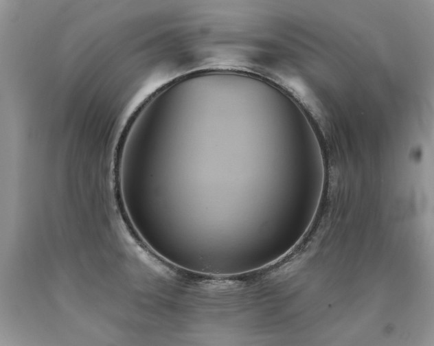 X0000090781331200707201516