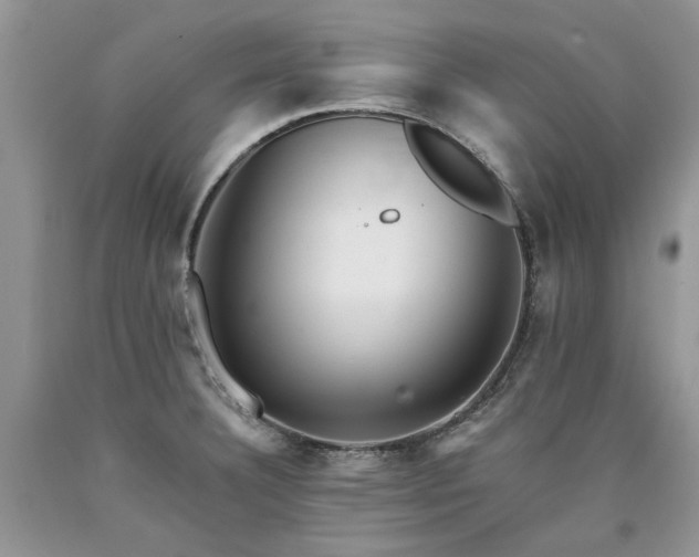 X0000090781332200707201516