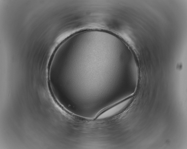X0000090781335200707201516