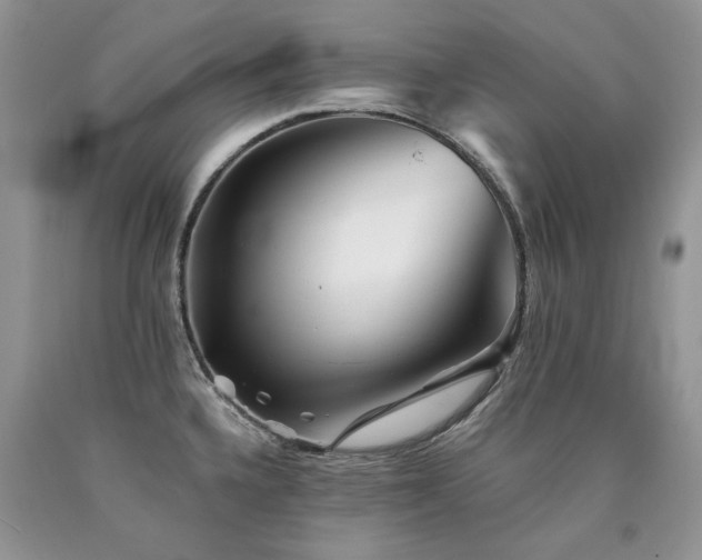 X0000090781336200707201516