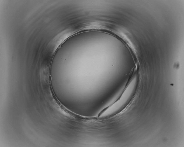 X0000090781337200707201516