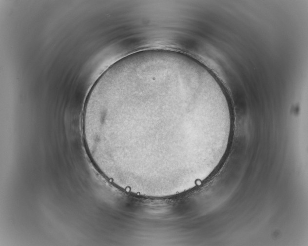 X0000090781338200707201516