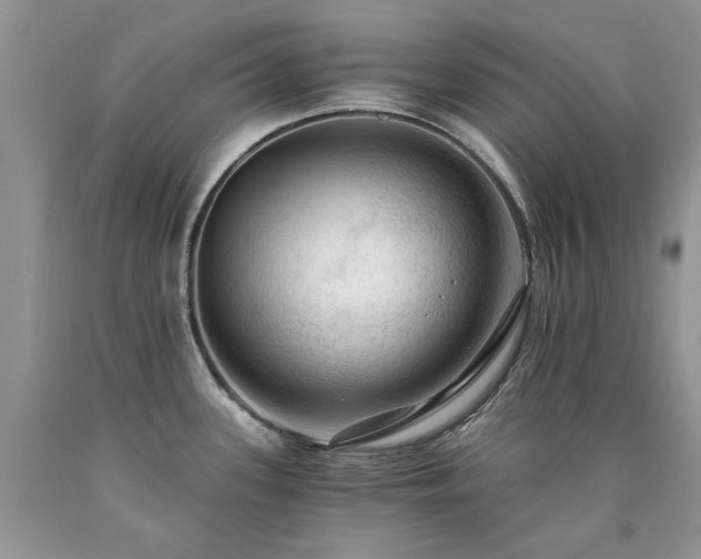 X0000090781339200707201516