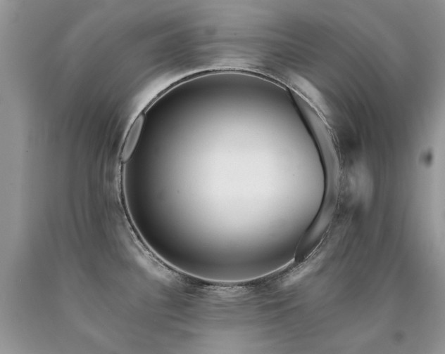 X0000090781340200707201516