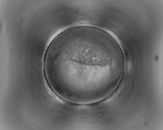 X0000090781341200707201516