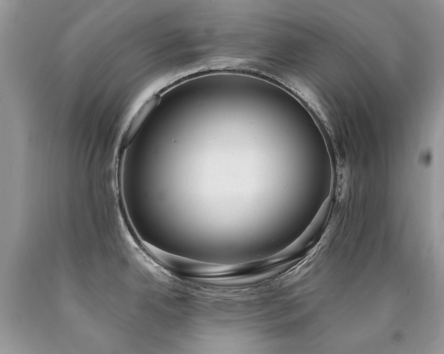 X0000090781342200707201516