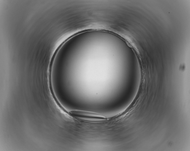 X0000090781343200707201516