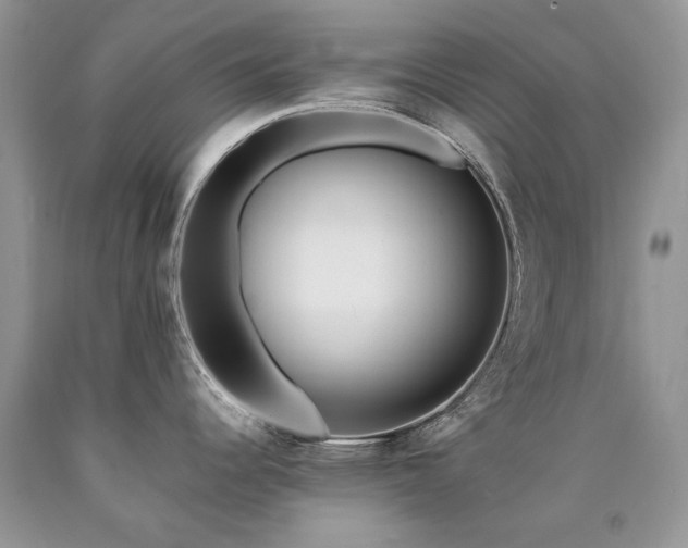 X0000090781344200707201516
