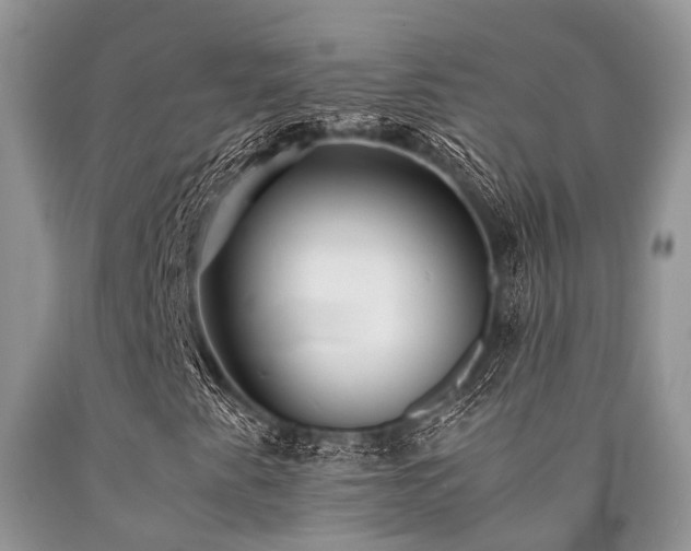 X0000090781345200707201515