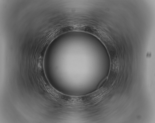 X0000090781346200707201515
