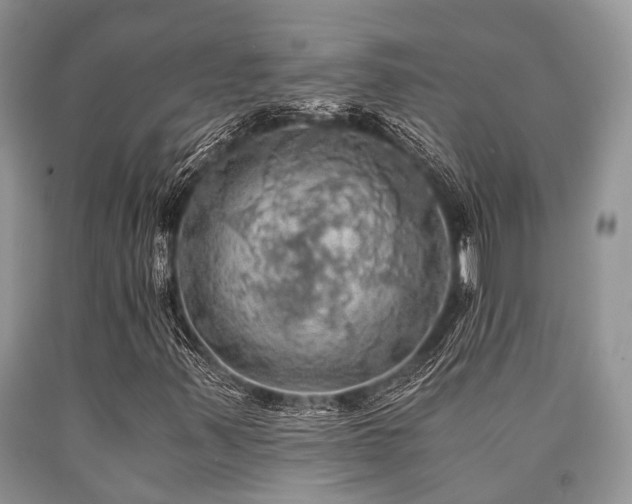 X0000090781347200707201515
