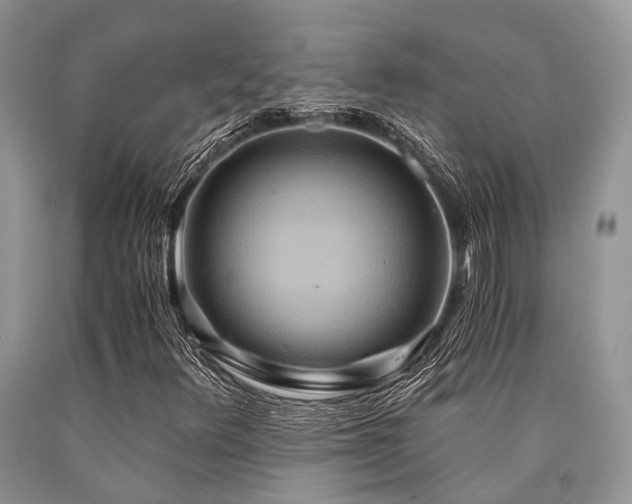 X0000090781348200707201515