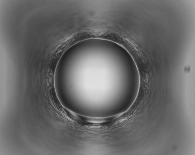 X0000090781349200707201515
