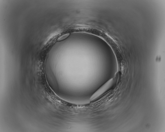 X0000090781351200707201515