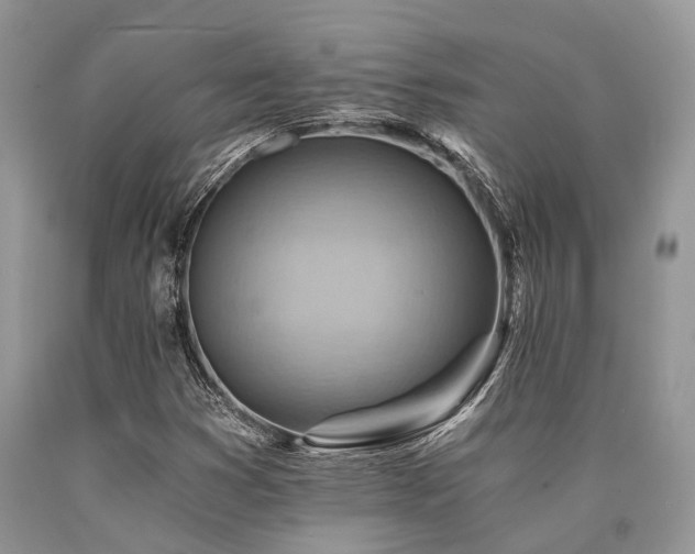 X0000090781353200707201515