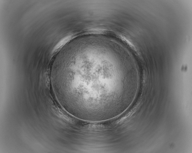 X0000090781354200707201515