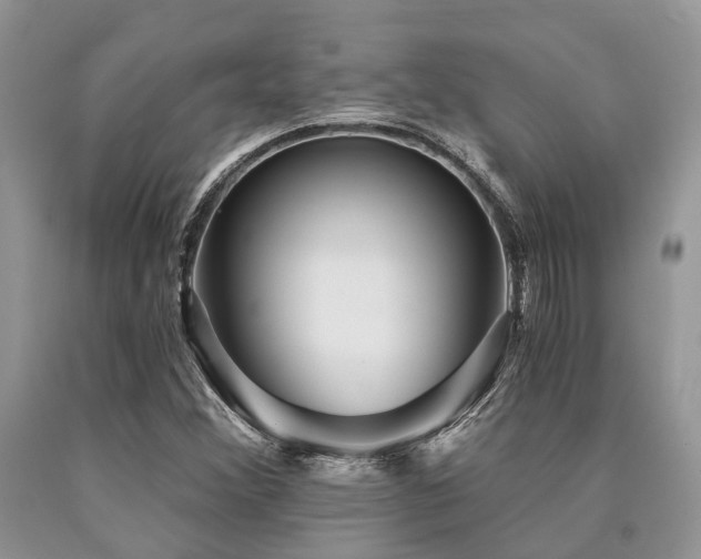 X0000090781356200707201515