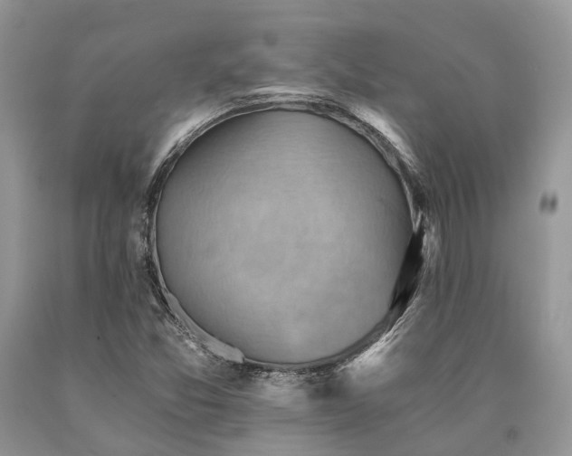 X0000090781357200707201515