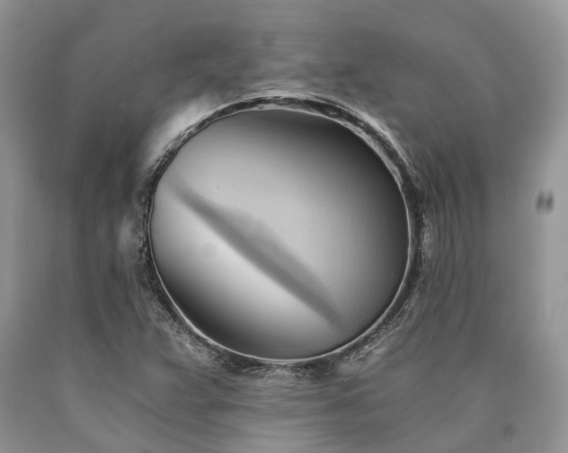 X0000090781359200707201515