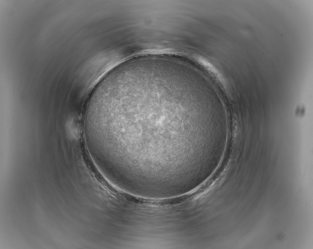 X0000090781361200707201515