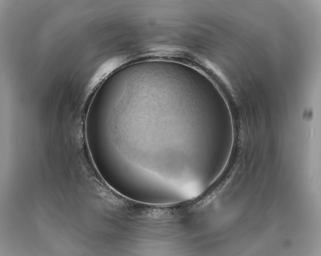 X0000090781362200707201515