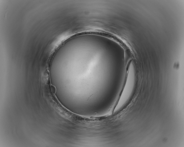 X0000090781363200707201515