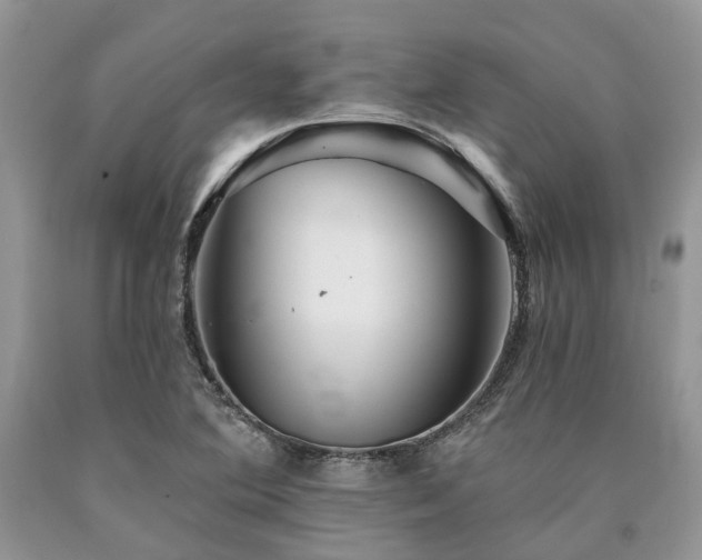 X0000090781364200707201515