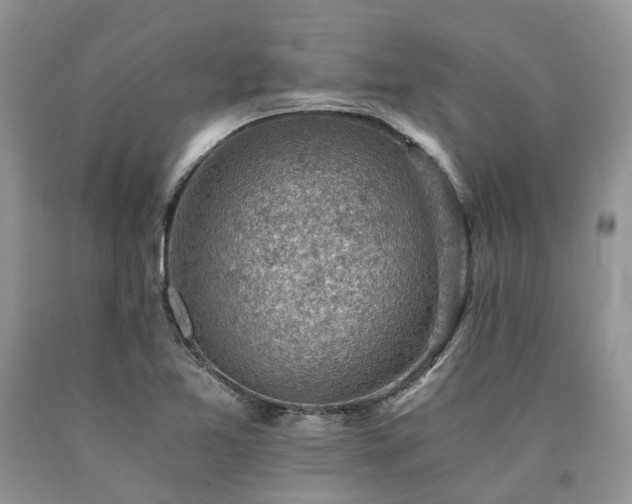X0000090781365200707201515