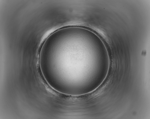 X0000090781366200707201515