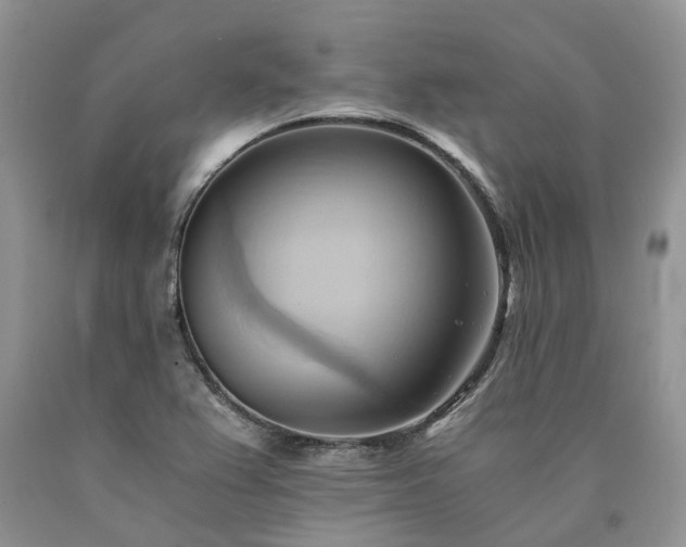 X0000090781367200707201515