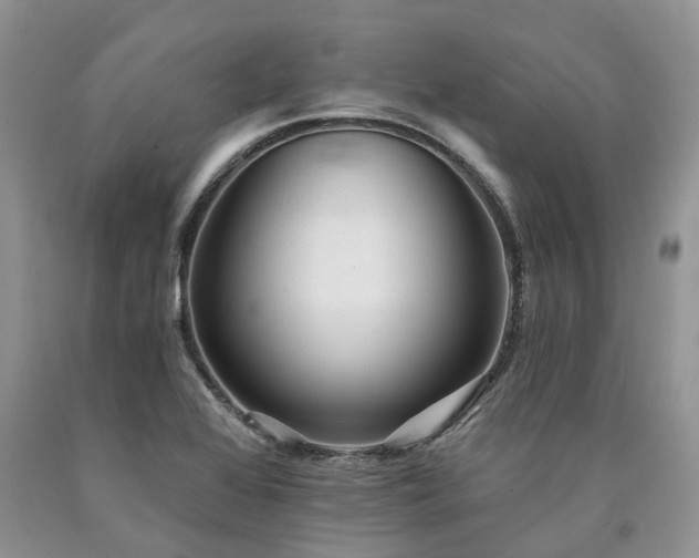 X0000090781368200707201515