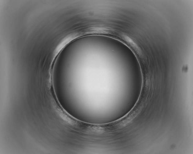X0000090781370200707201515