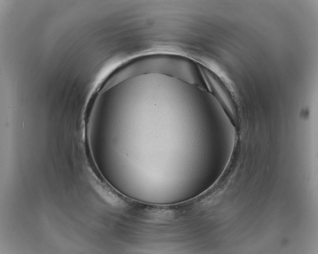 X0000090781372200707201515