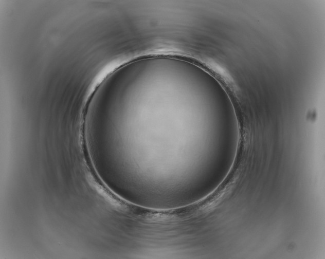 X0000090781374200707201515