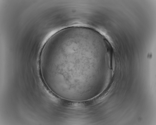 X0000090781375200707201515