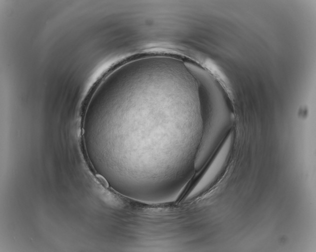 X0000090781376200707201515
