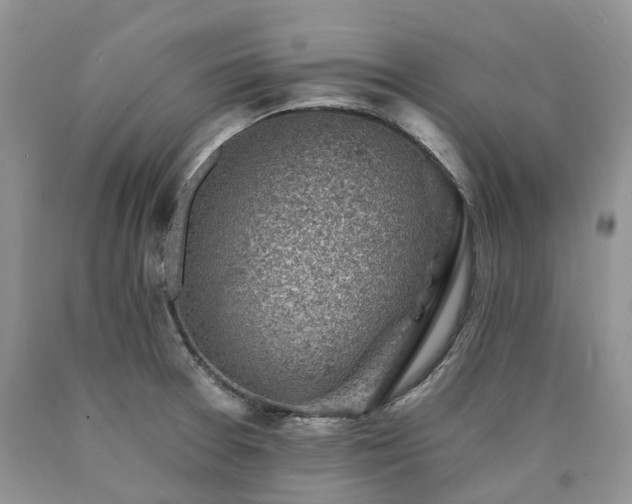 X0000090781377200707201515