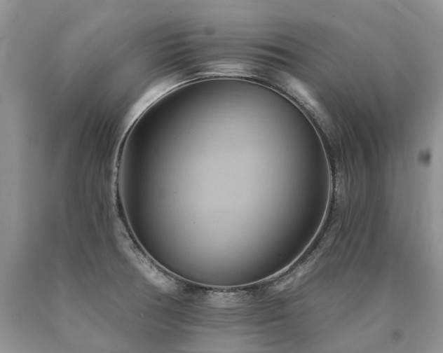 X0000090781378200707201515